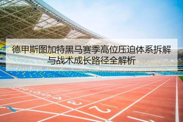 de-jia-si-tu-jia-te-hei-ma-sai-ji-gao-wei-ya-po-ti-xi-chai-jie-yu-zhan-shu-cheng-zhang-lu-jing-quan-jie-xi-2-167.jpg